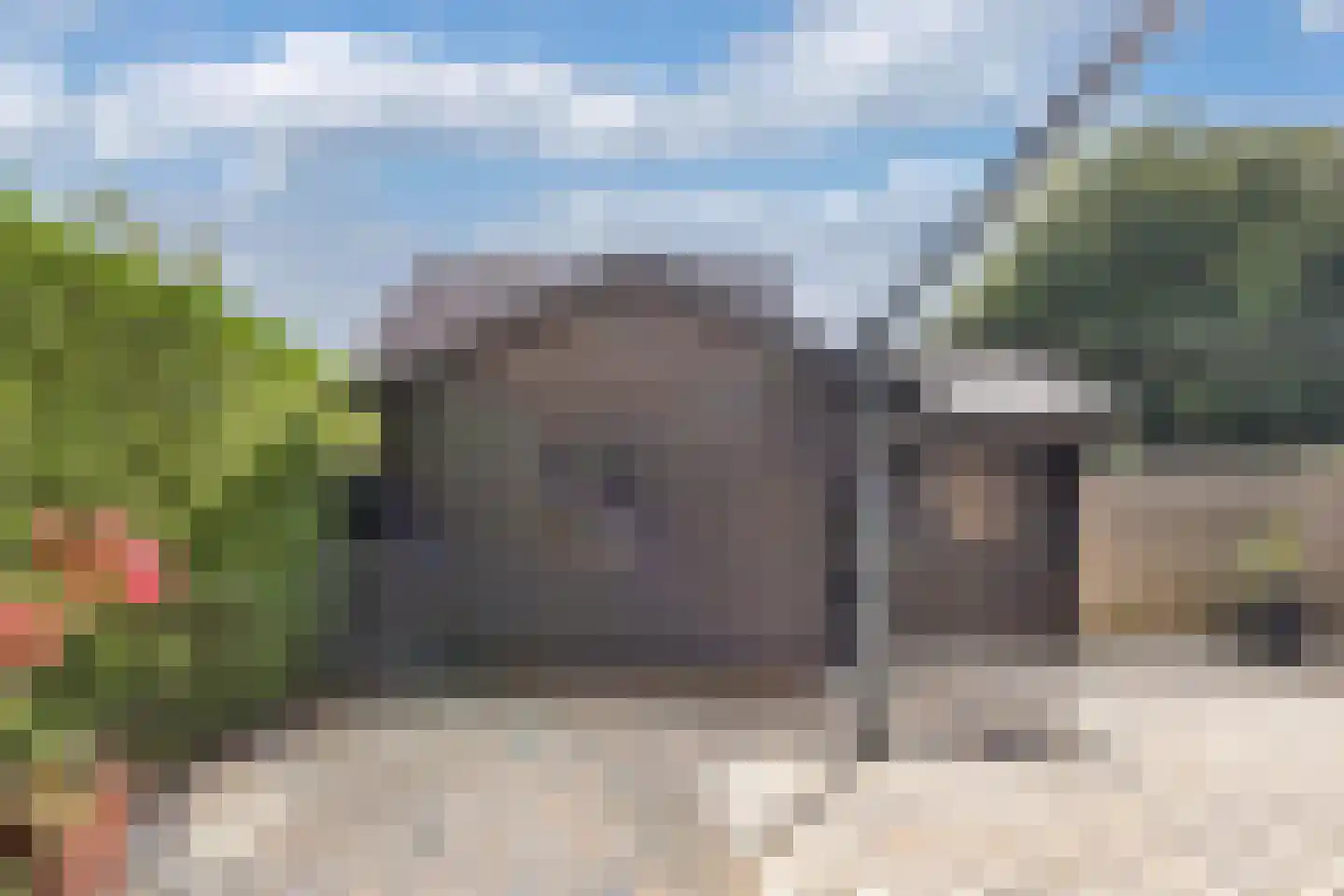 Jellen 2 Sneek thumbnail 37