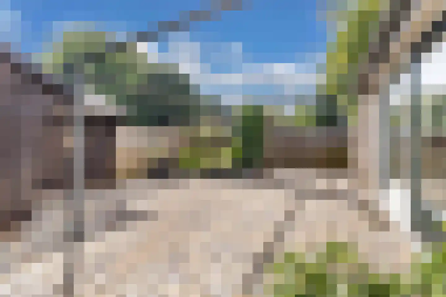 Jellen 2 Sneek thumbnail 38