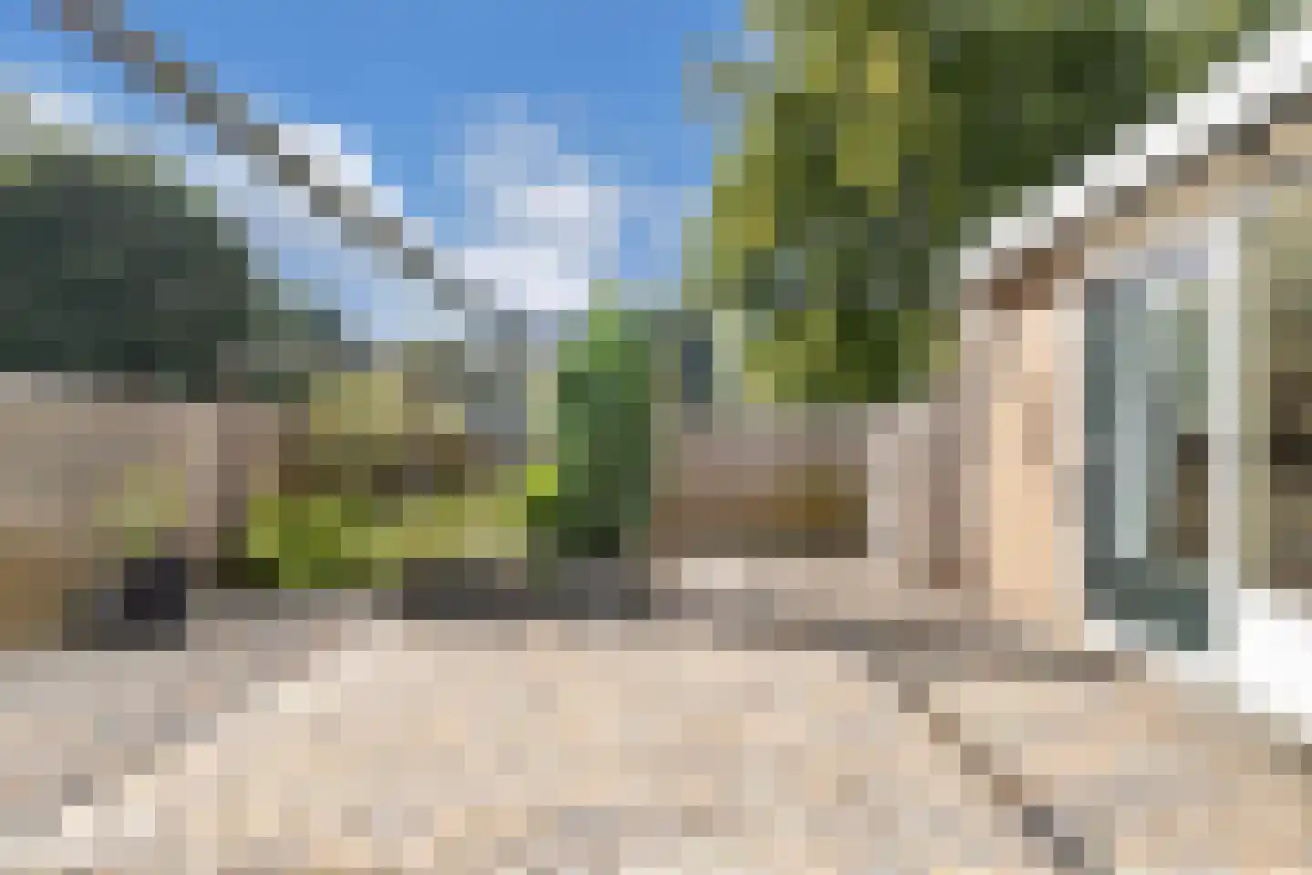 Jellen 2 Sneek thumbnail 39
