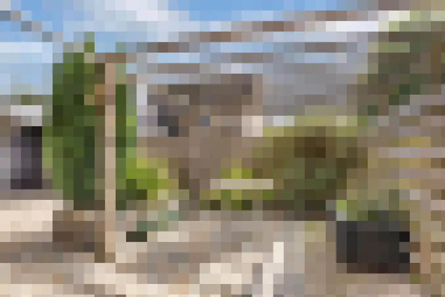 Jellen 2 Sneek thumbnail 40