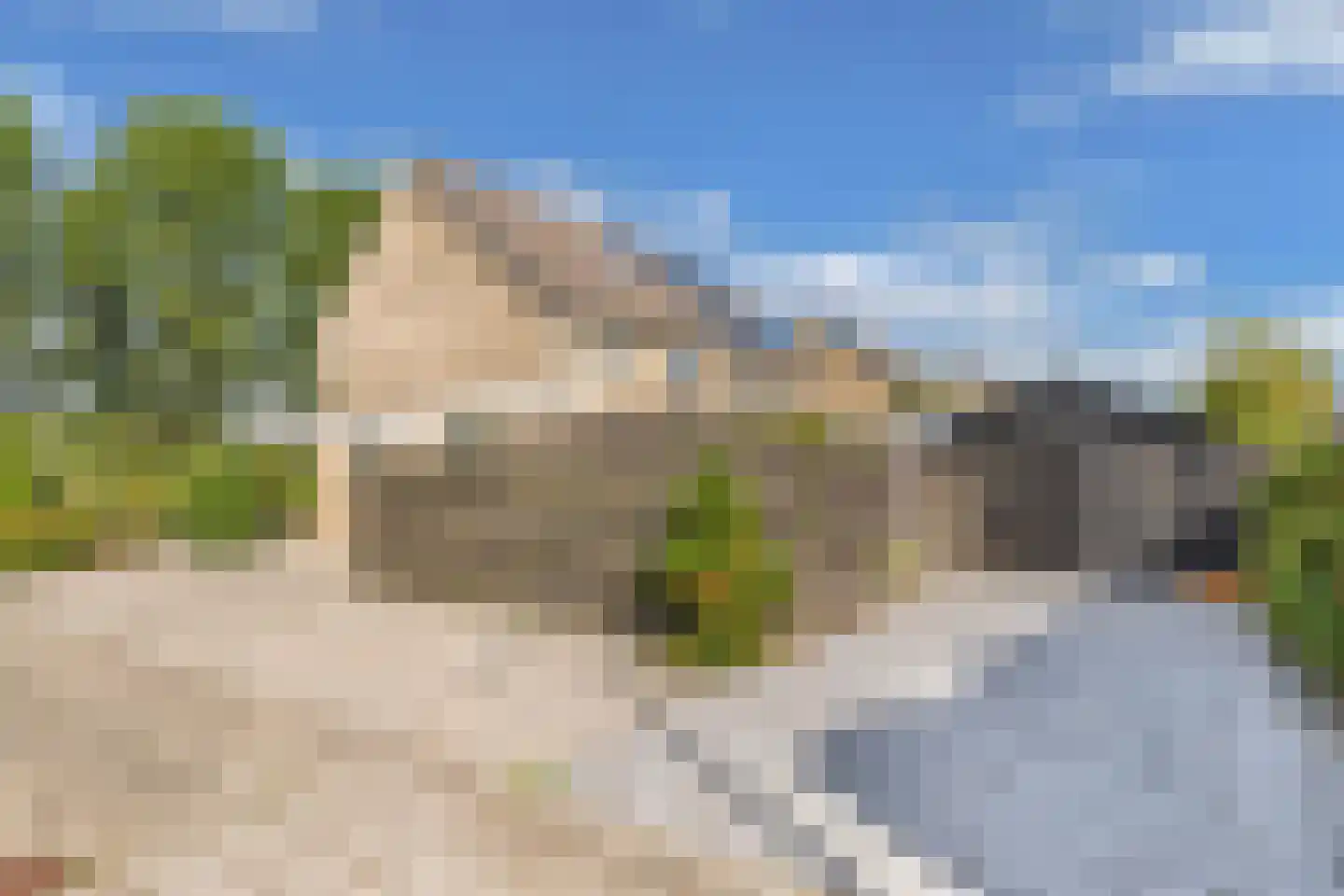 Jellen 2 Sneek thumbnail 47