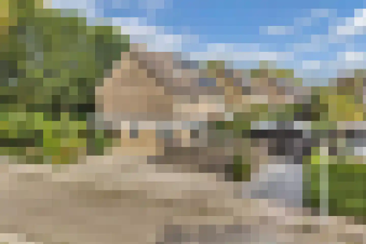 Jellen 2 Sneek thumbnail 48
