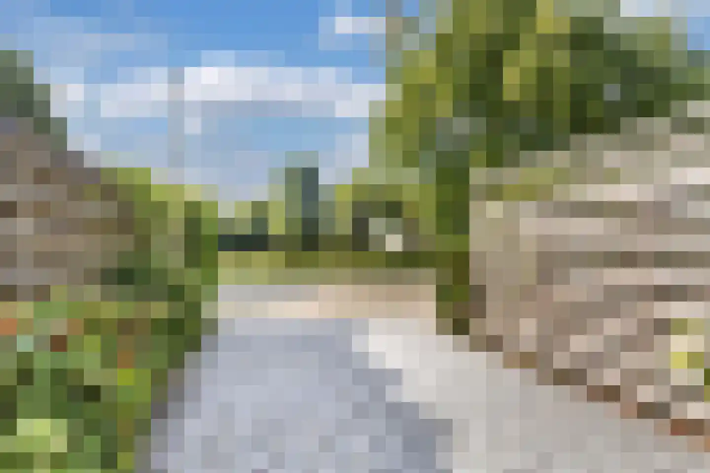 Jellen 2 Sneek thumbnail 49