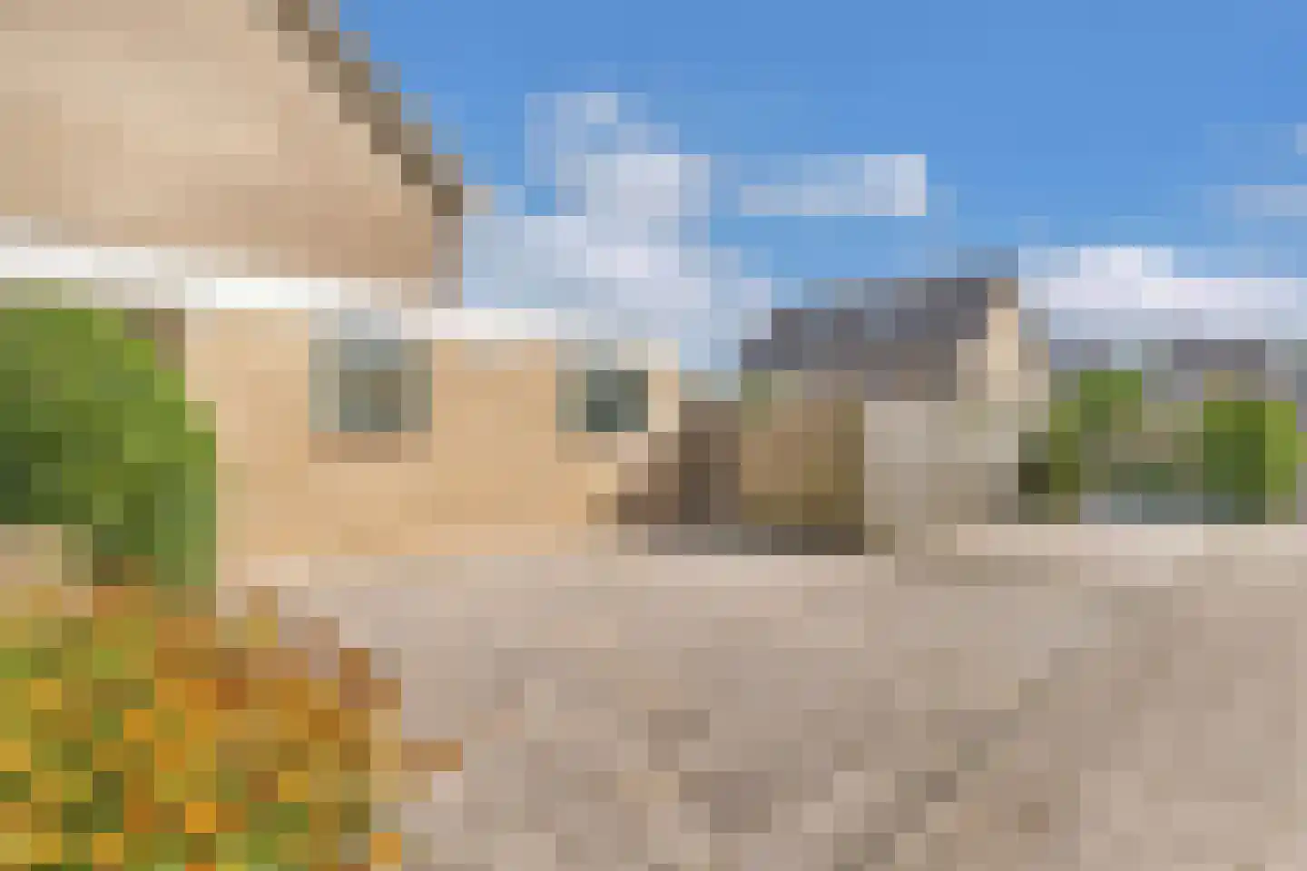 Jellen 2 Sneek thumbnail 50