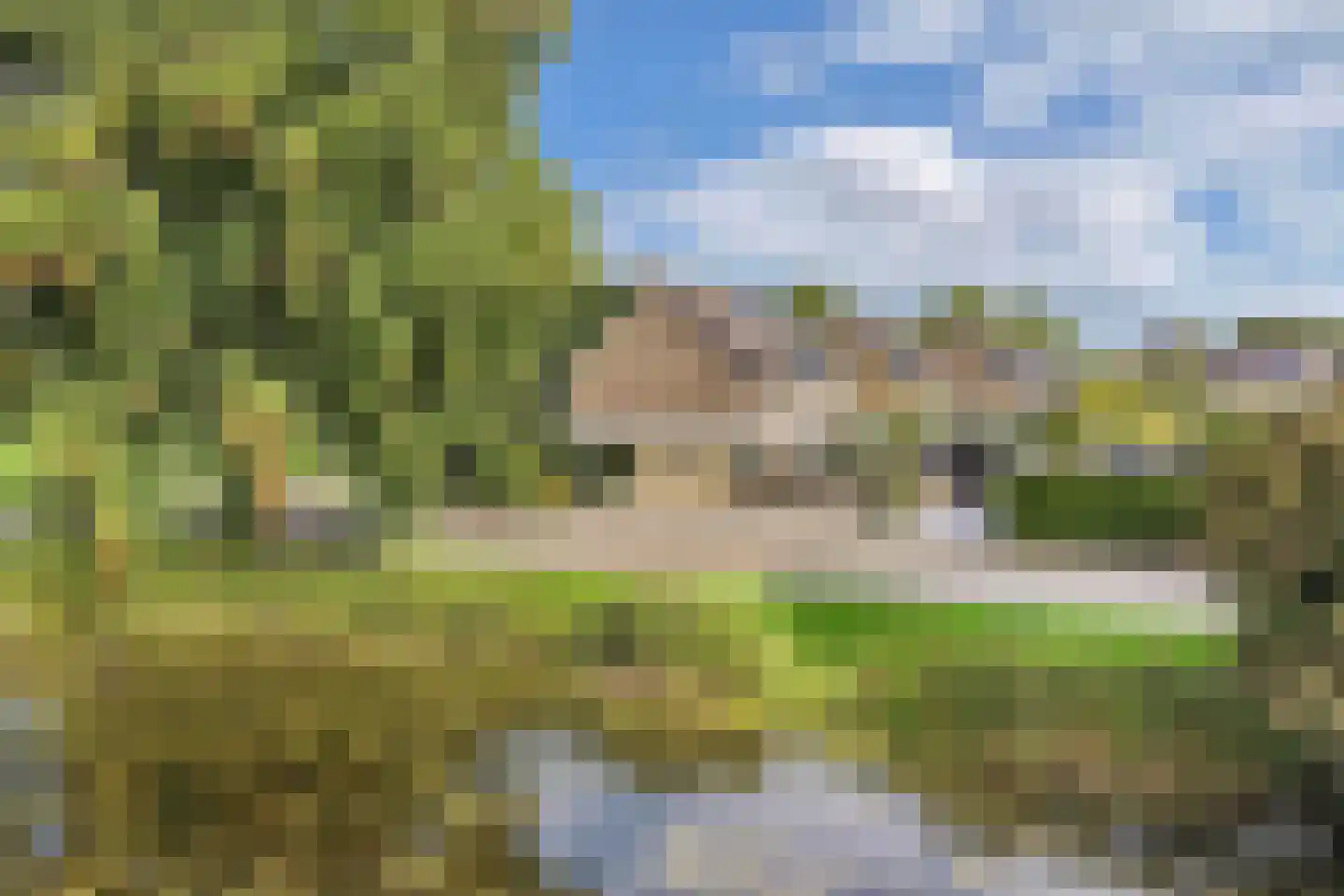 Jellen 2 Sneek thumbnail 52