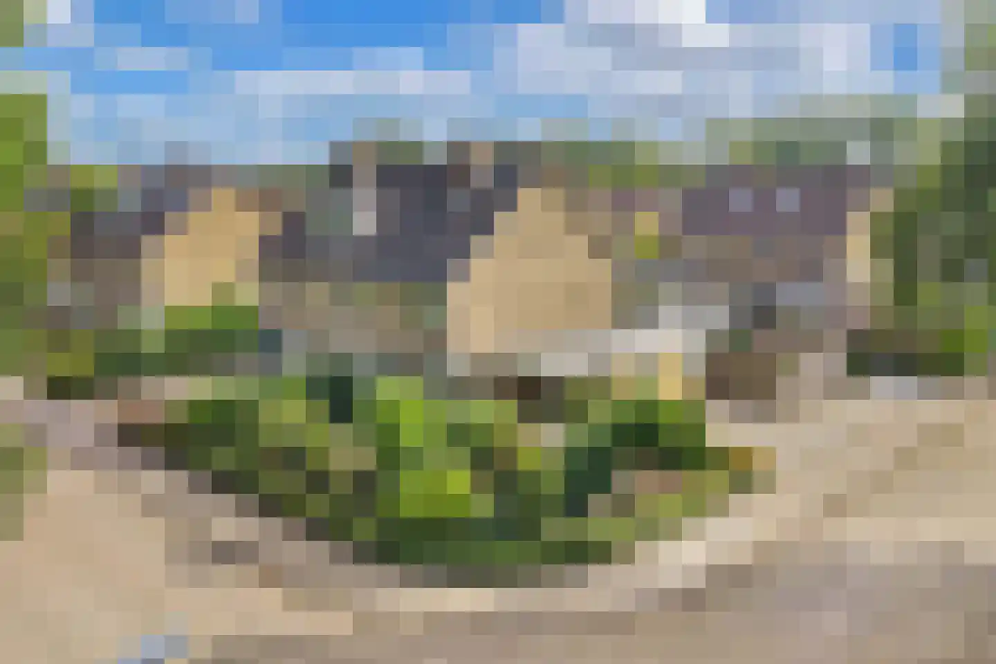Jellen 2 Sneek thumbnail 53