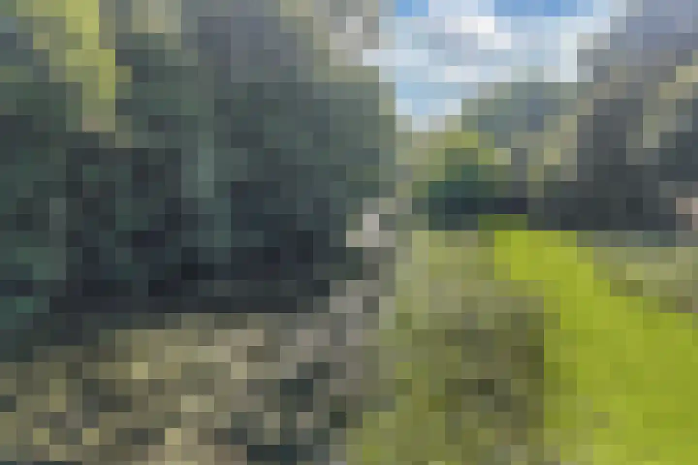 Jellen 2 Sneek thumbnail 54