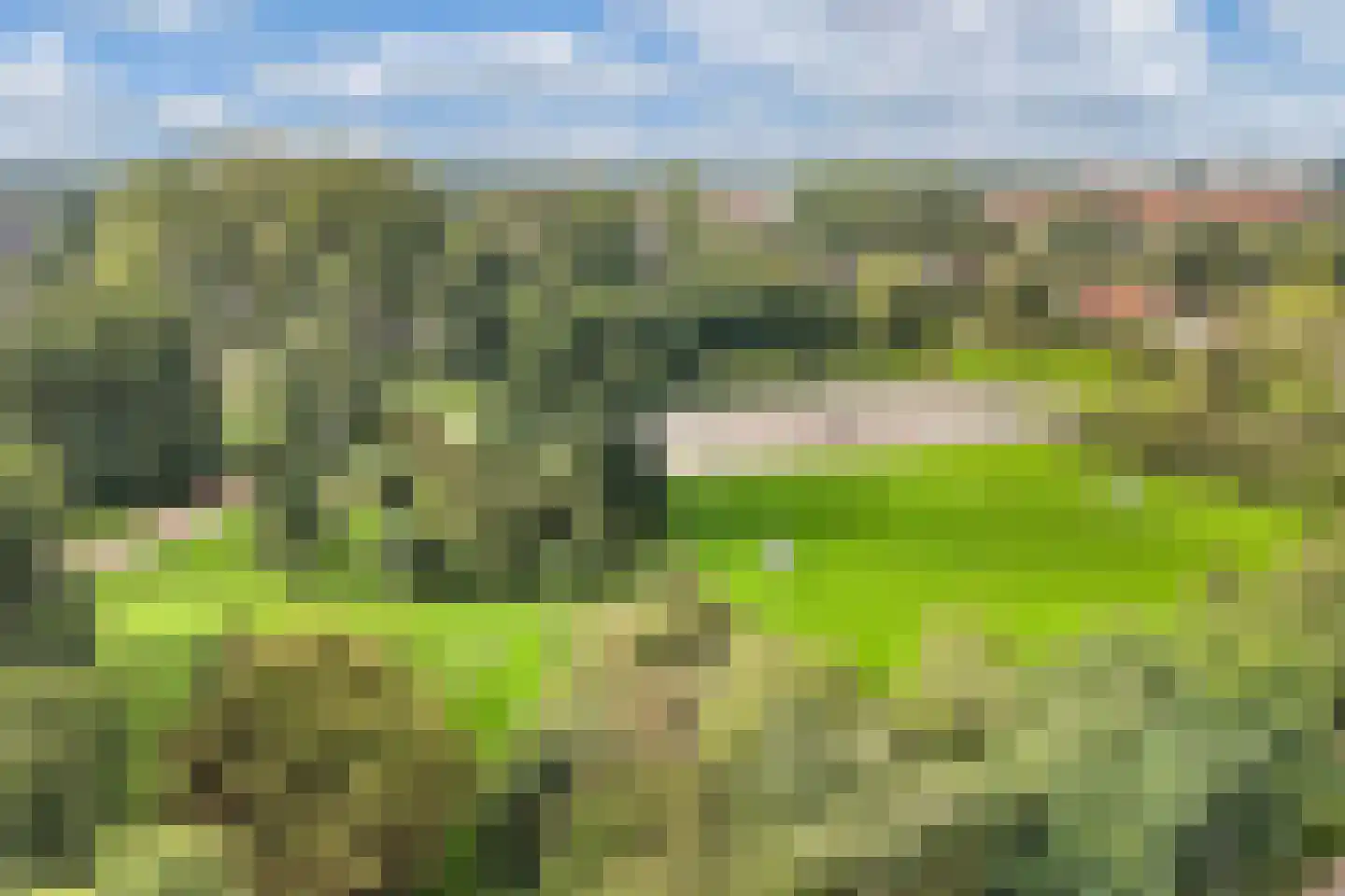 Jellen 2 Sneek thumbnail 56