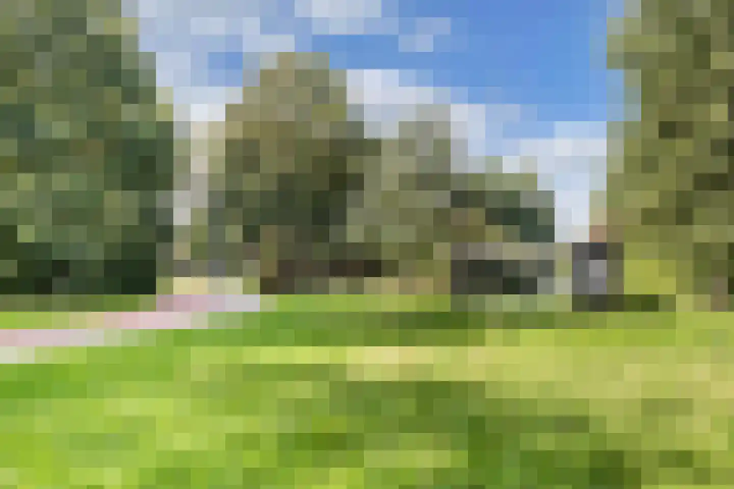 Jellen 2 Sneek thumbnail 57