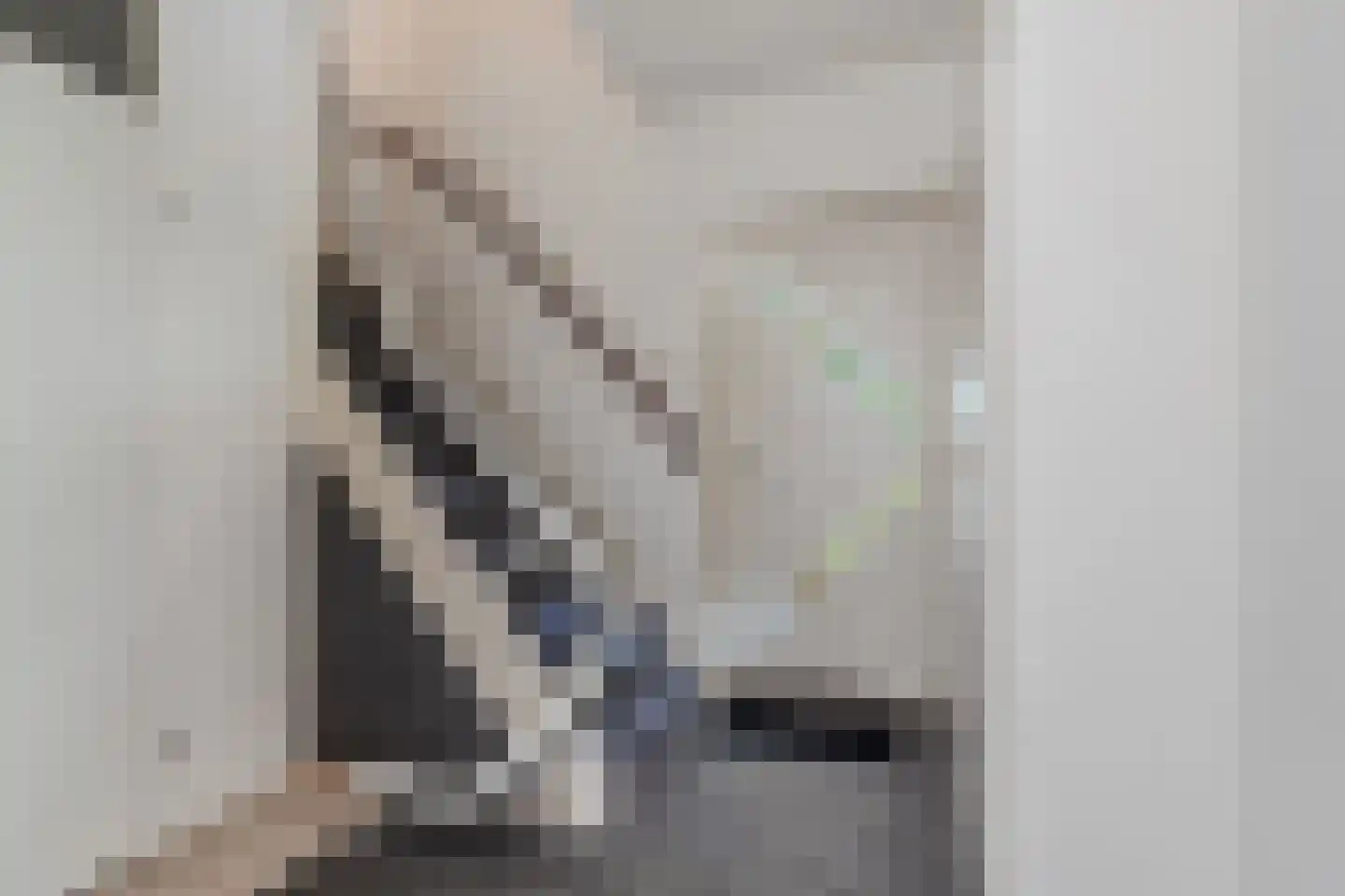 Jellen 2 Sneek thumbnail 58
