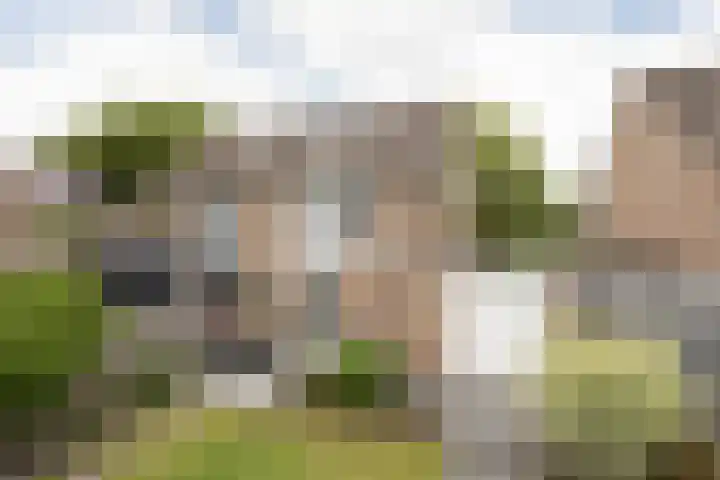 Jellen 7 Sneek foto 2