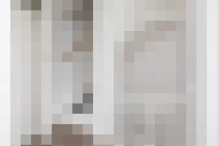 Jellen 7 Sneek thumbnail 24