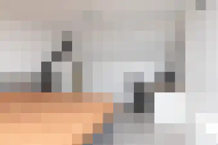 Jellen 7 Sneek thumbnail 26