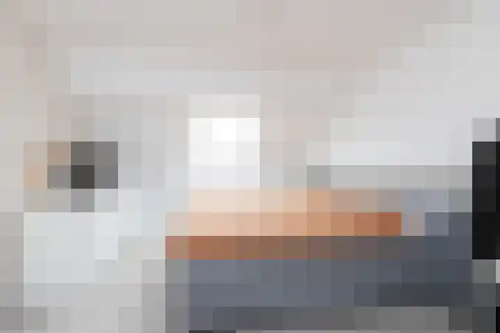Jellen 7 Sneek thumbnail 27