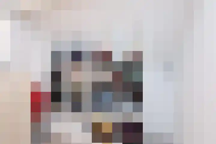Jellen 7 Sneek thumbnail 28