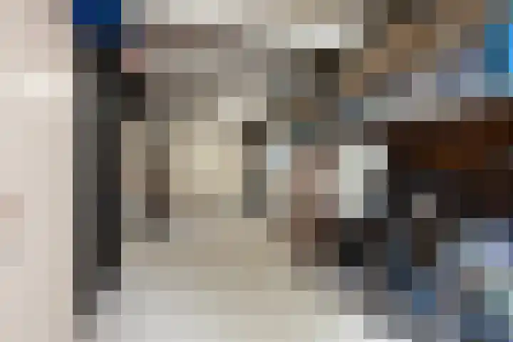 Jellen 7 Sneek thumbnail 29