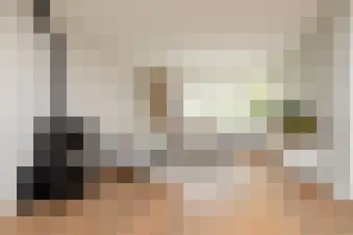 Jellen 7 Sneek foto 3