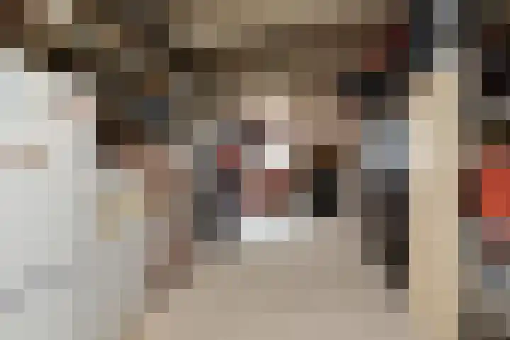 Jellen 7 Sneek thumbnail 30