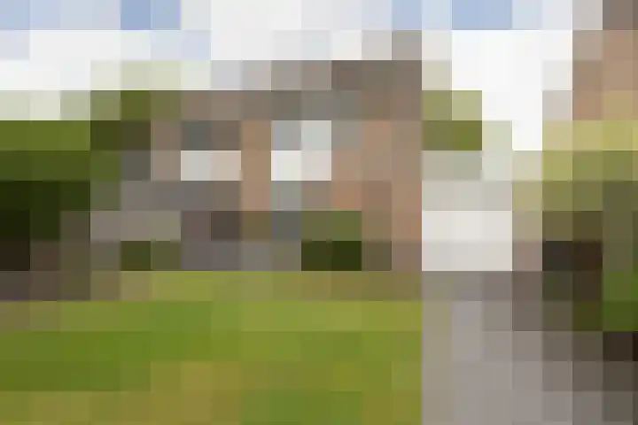 Jellen 7 Sneek thumbnail 31