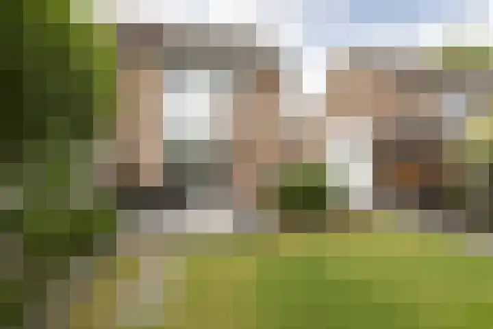 Jellen 7 Sneek thumbnail 32
