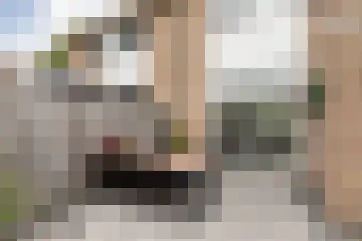 Jellen 7 Sneek thumbnail 33