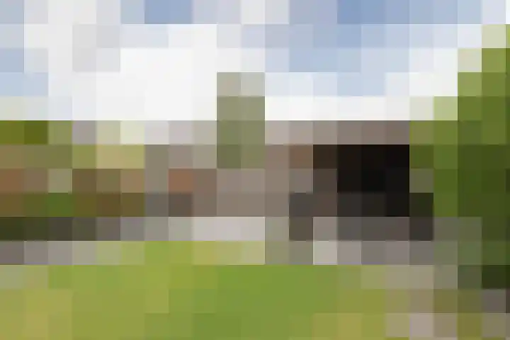Jellen 7 Sneek thumbnail 34