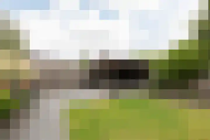 Jellen 7 Sneek thumbnail 35