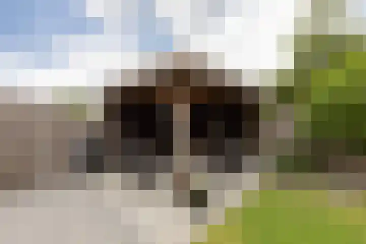 Jellen 7 Sneek thumbnail 36