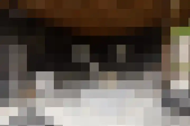Jellen 7 Sneek thumbnail 37