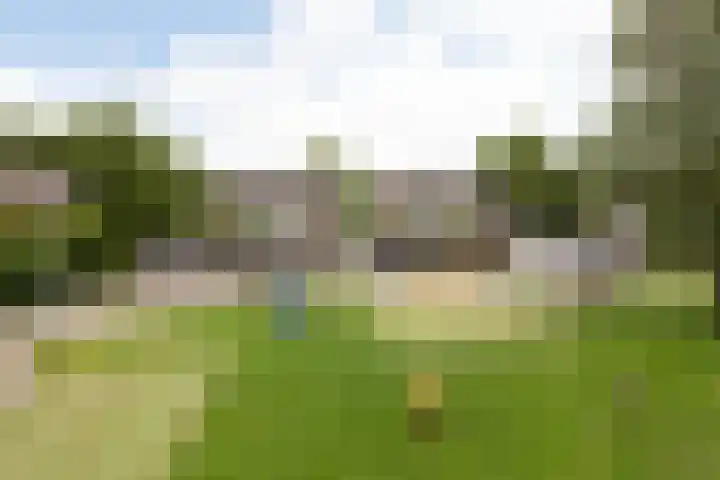 Jellen 7 Sneek thumbnail 38