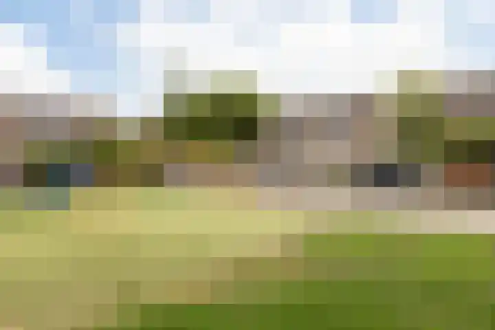 Jellen 7 Sneek thumbnail 39