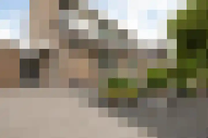 Jellen 7 Sneek thumbnail 41