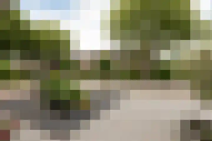Jellen 7 Sneek thumbnail 42
