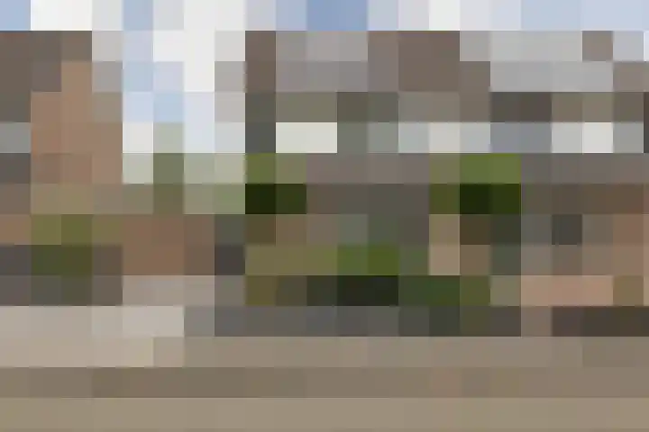 Jellen 7 Sneek thumbnail 43