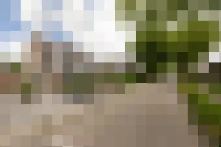Jellen 7 Sneek thumbnail 44