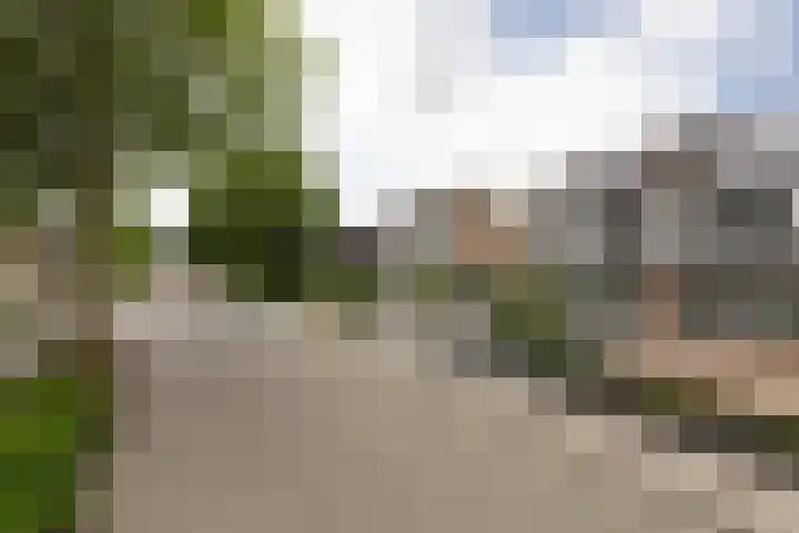 Jellen 7 Sneek thumbnail 45