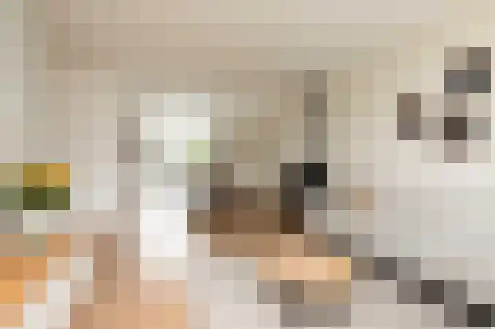 Jellen 7 Sneek thumbnail 5