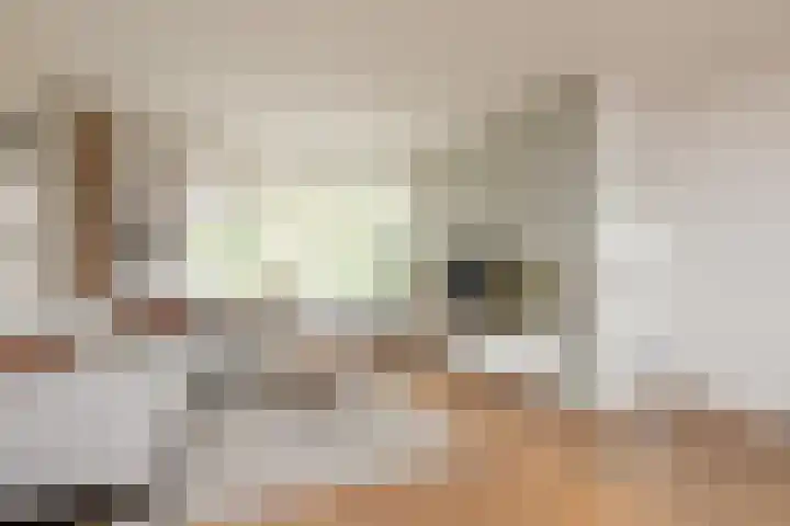 Jellen 7 Sneek thumbnail 6