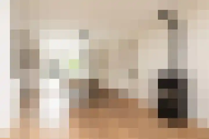Jellen 7 Sneek thumbnail 7