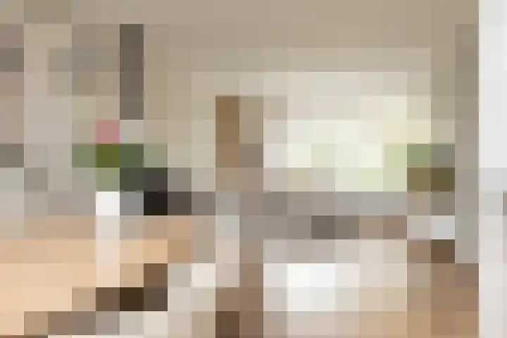 Jellen 7 Sneek thumbnail 8