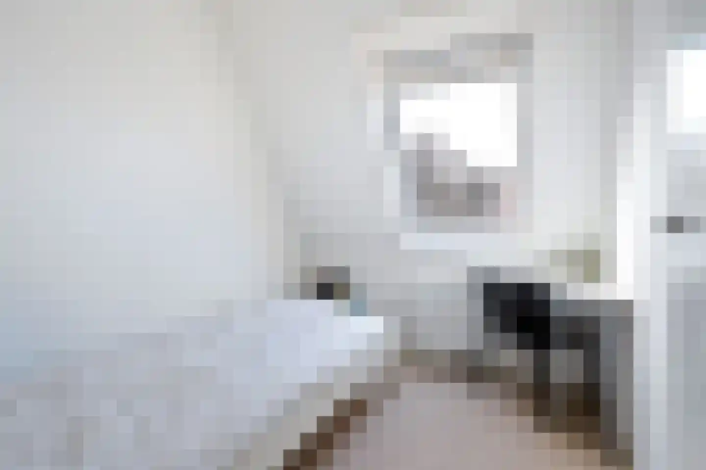 Jelleslân 22 Goutum thumbnail 18