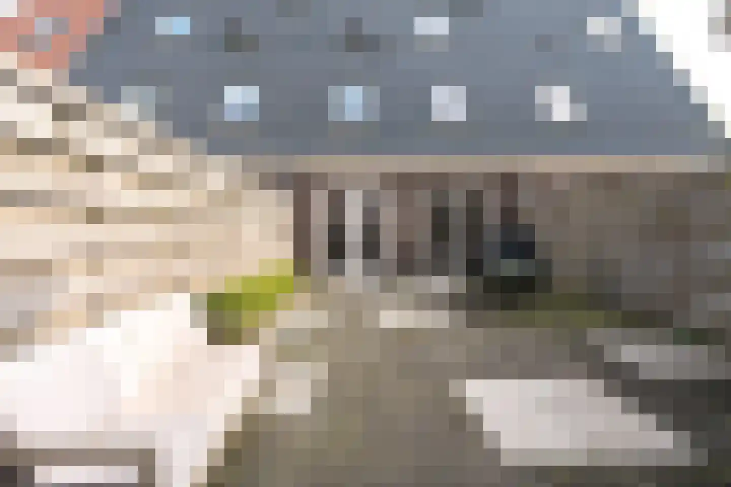 Jelleslân 22 Goutum thumbnail 26