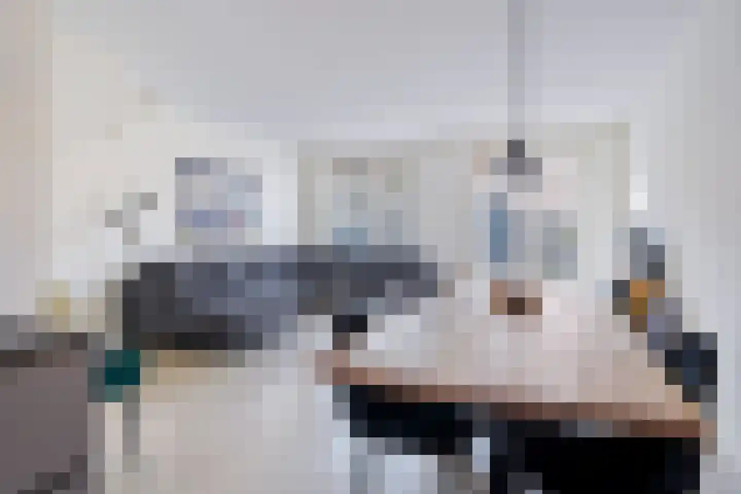 Jelleslân 22 Goutum foto 3