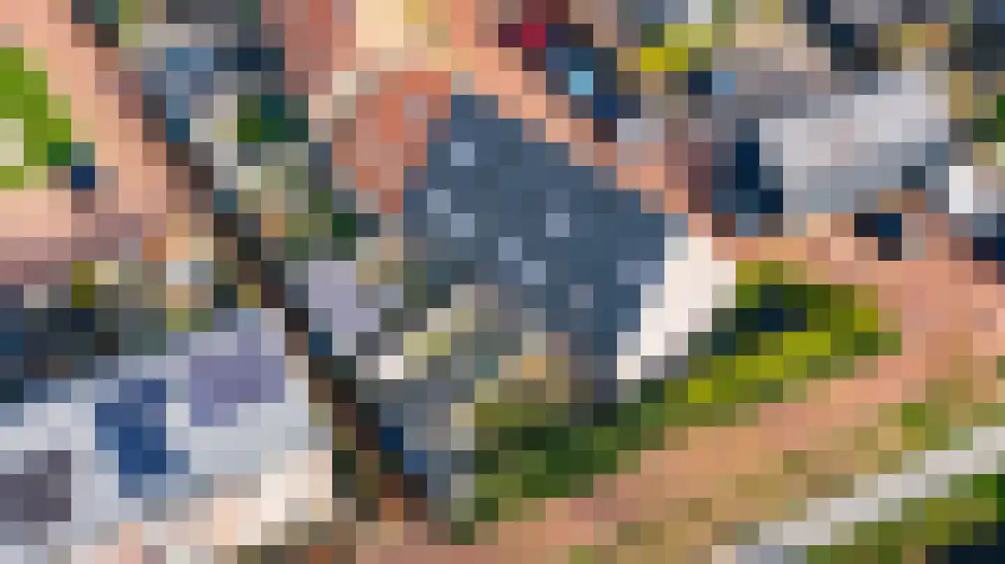 Jelleslân 22 Goutum thumbnail 35