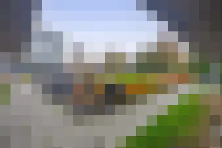 Jellingastraat 13 Leeuwarden thumbnail 30