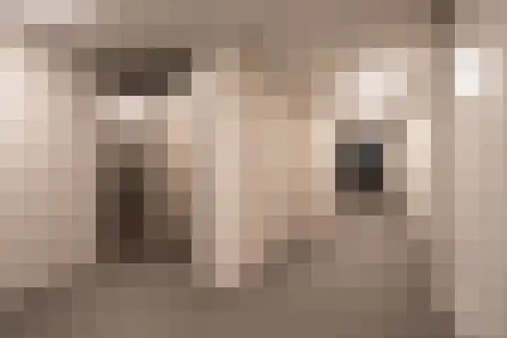 Jellingastraat 51 Leeuwarden thumbnail 5