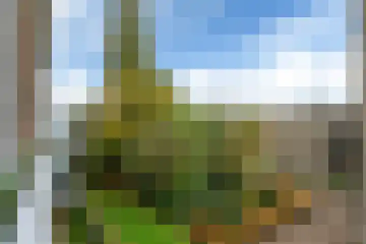 Jellingastraat 55 Leeuwarden thumbnail 16