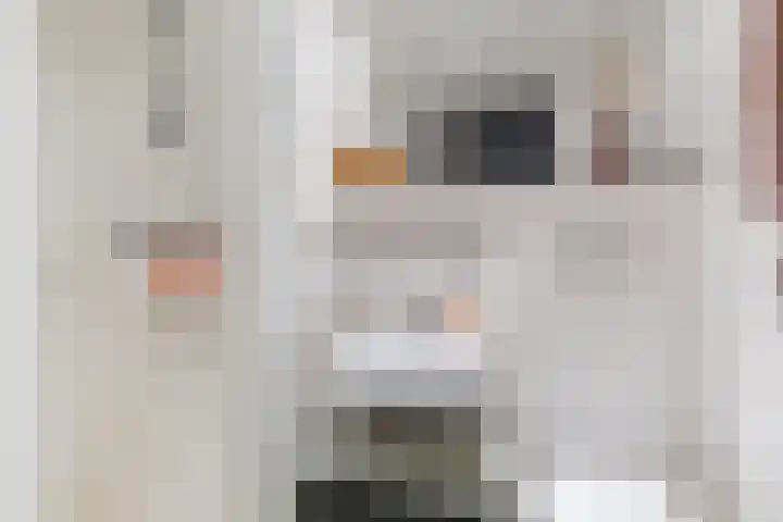 Jellingastraat 55 Leeuwarden thumbnail 18