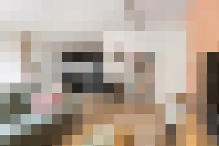 Jellingastraat 55 Leeuwarden thumbnail 8