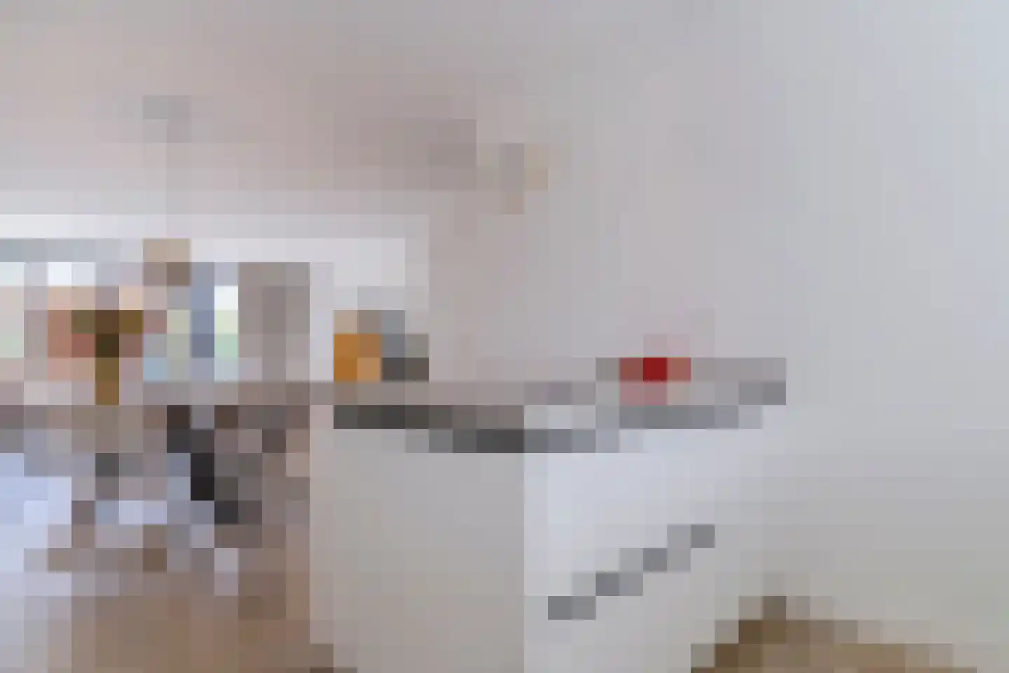 Jellingelant 10 Zuid-Scharwoude thumbnail 10
